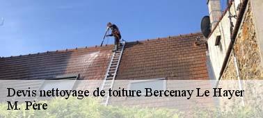 Pour bien organiser le nettoyage de votre toit à Bercenay Le Hayer 10290