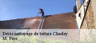 Spécialiste en nettoyage toiture ardoise à Chesley 10210