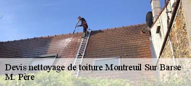 Entreprise de nettoyage toiture à Montreuil Sur Barse : un accompagnement professionnel