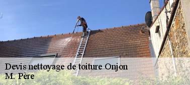 Nettoyage toiture à Onjon : s’en remettre à M. Père