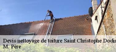 Pour le nettoyage de votre toit en tuile à Saint Christophe Dodinicourt 10500